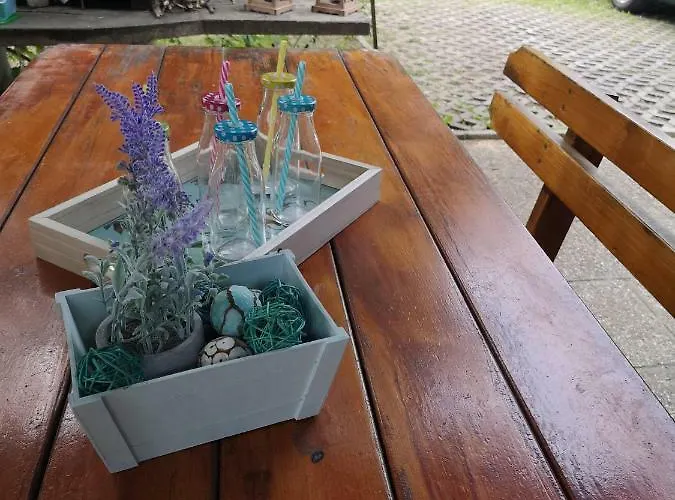 Appartement Premium Trend Terme